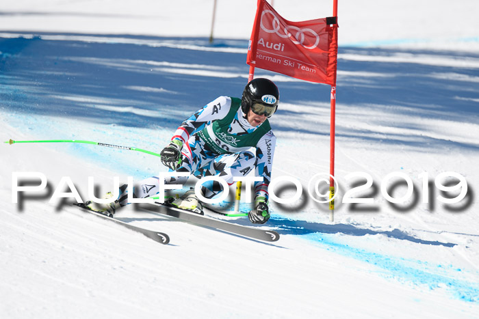 FIS, Int. Dt. Meisterschaft Abfahrt, Damen + Herren, 20.03.2019