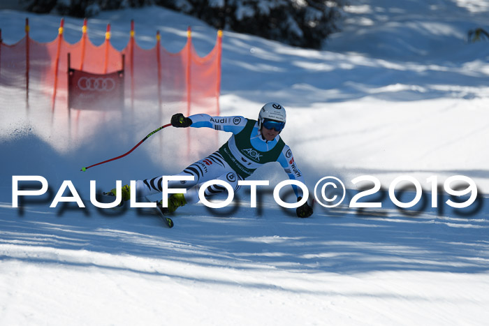 FIS, Int. Dt. Meisterschaft Abfahrt, Damen + Herren, 20.03.2019