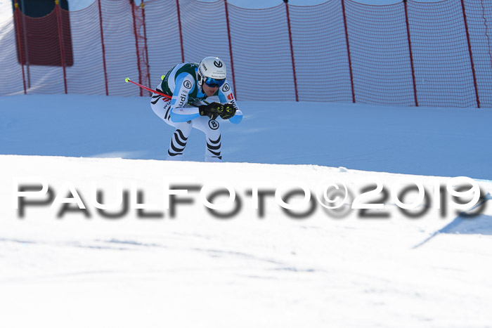 FIS, Int. Dt. Meisterschaft Abfahrt, Damen + Herren, 20.03.2019