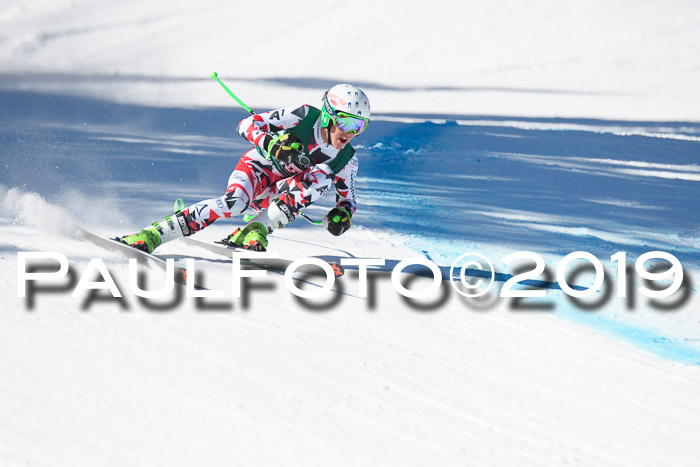 FIS, Int. Dt. Meisterschaft Abfahrt, Damen + Herren, 20.03.2019