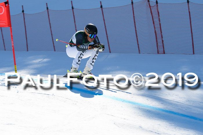 FIS, Int. Dt. Meisterschaft Abfahrt, Damen + Herren, 20.03.2019