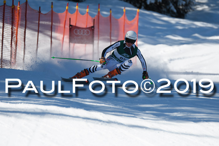 FIS, Int. Dt. Meisterschaft Abfahrt, Damen + Herren, 20.03.2019
