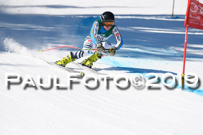 FIS, Int. Dt. Meisterschaft Abfahrt, Damen + Herren, 20.03.2019