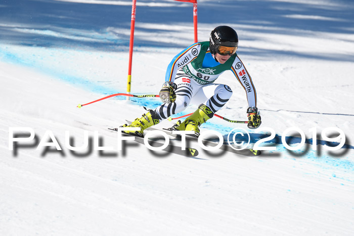 FIS, Int. Dt. Meisterschaft Abfahrt, Damen + Herren, 20.03.2019