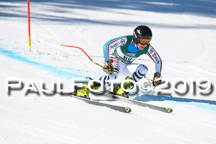 FIS, Int. Dt. Meisterschaft Abfahrt, Damen + Herren, 20.03.2019