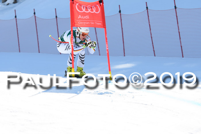 FIS, Int. Dt. Meisterschaft Abfahrt, Damen + Herren, 20.03.2019