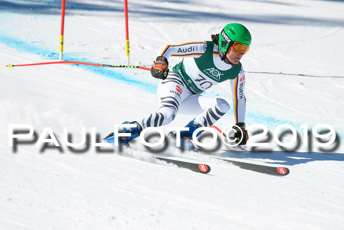 FIS, Int. Dt. Meisterschaft Abfahrt, Damen + Herren, 20.03.2019