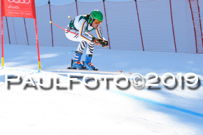 FIS, Int. Dt. Meisterschaft Abfahrt, Damen + Herren, 20.03.2019