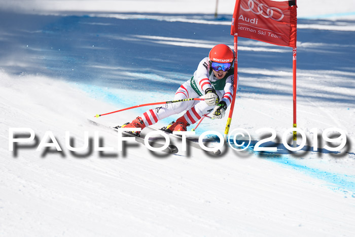 FIS, Int. Dt. Meisterschaft Abfahrt, Damen + Herren, 20.03.2019