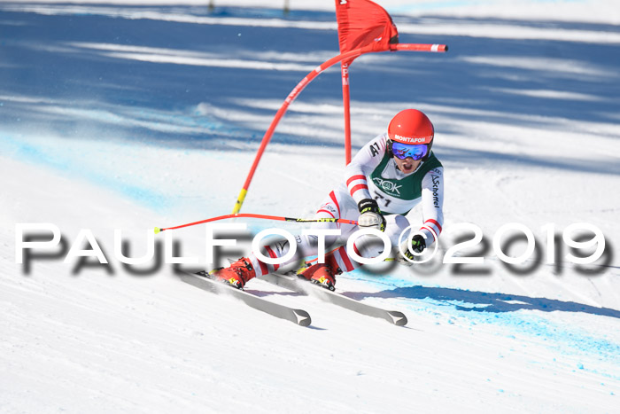 FIS, Int. Dt. Meisterschaft Abfahrt, Damen + Herren, 20.03.2019