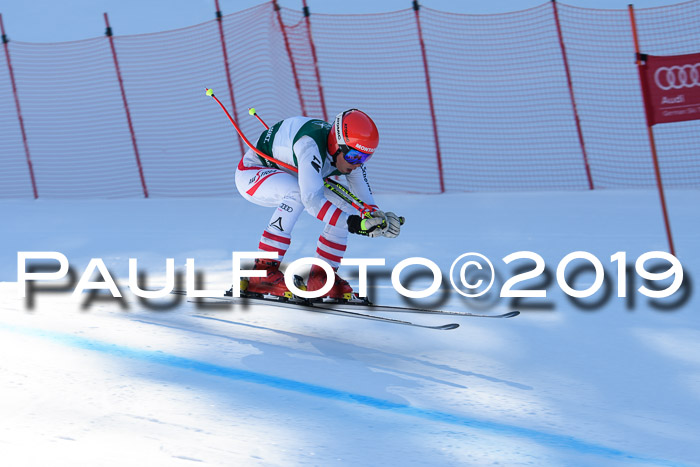 FIS, Int. Dt. Meisterschaft Abfahrt, Damen + Herren, 20.03.2019