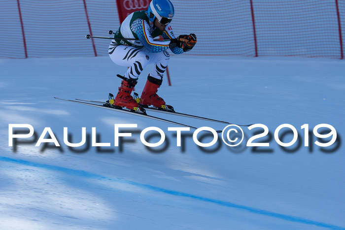FIS, Int. Dt. Meisterschaft Abfahrt, Damen + Herren, 20.03.2019