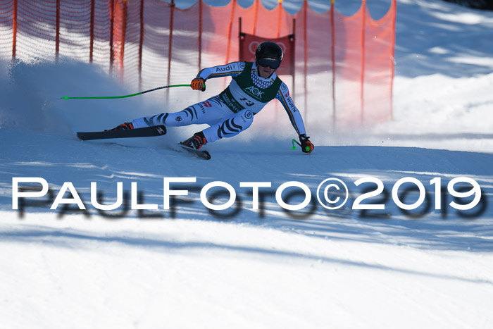 FIS, Int. Dt. Meisterschaft Abfahrt, Damen + Herren, 20.03.2019