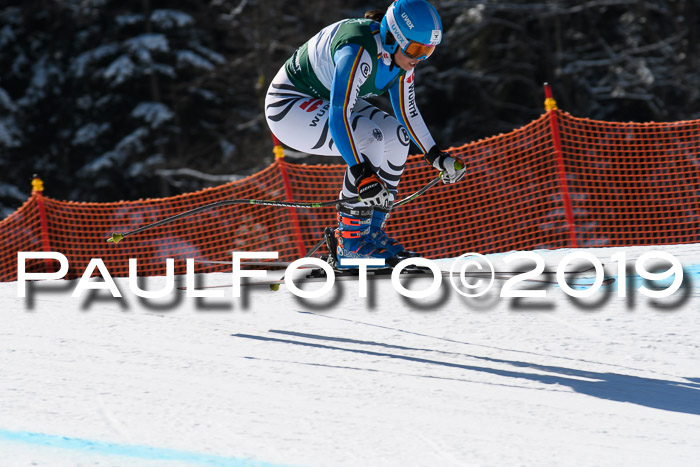 FIS, Int. Dt. Jugendmeisterschaft Abfahrt, Damen + Herren, 20.03.2019