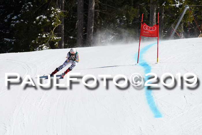 FIS, Int. Dt. Jugendmeisterschaft Abfahrt, Damen + Herren, 20.03.2019
