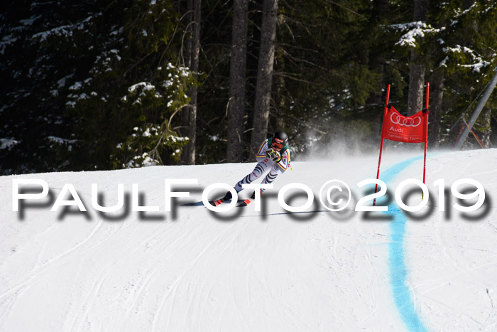 FIS, Int. Dt. Jugendmeisterschaft Abfahrt, Damen + Herren, 20.03.2019
