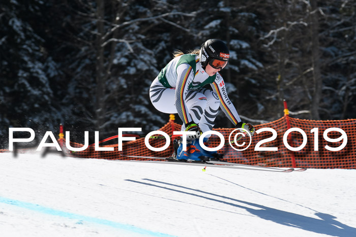FIS, Int. Dt. Jugendmeisterschaft Abfahrt, Damen + Herren, 20.03.2019