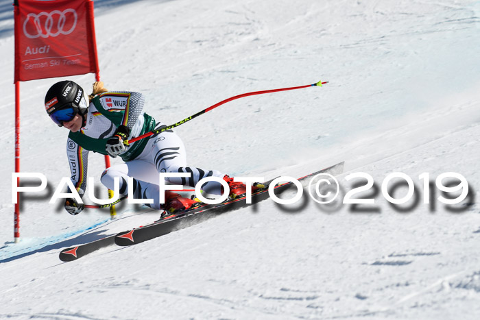 FIS, Int. Dt. Jugendmeisterschaft Abfahrt, Damen + Herren, 20.03.2019
