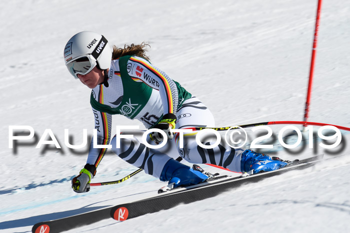 FIS, Int. Dt. Jugendmeisterschaft Abfahrt, Damen + Herren, 20.03.2019