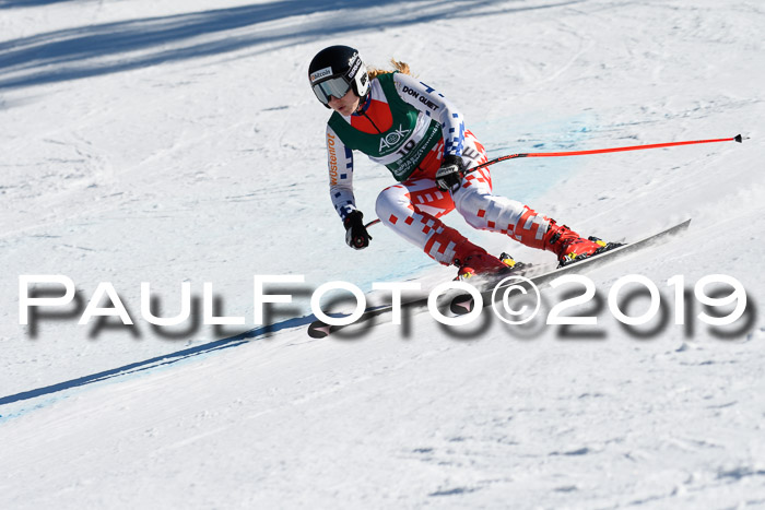 FIS, Int. Dt. Jugendmeisterschaft Abfahrt, Damen + Herren, 20.03.2019