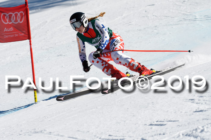 FIS, Int. Dt. Jugendmeisterschaft Abfahrt, Damen + Herren, 20.03.2019
