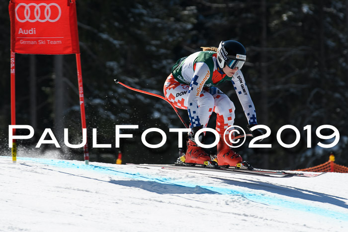 FIS, Int. Dt. Jugendmeisterschaft Abfahrt, Damen + Herren, 20.03.2019