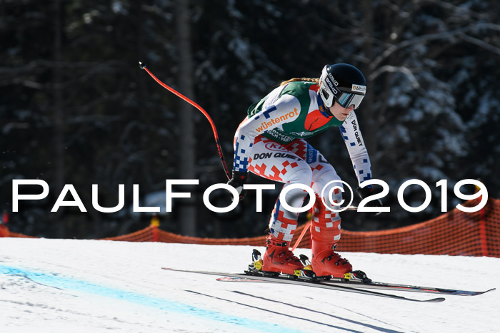 FIS, Int. Dt. Jugendmeisterschaft Abfahrt, Damen + Herren, 20.03.2019