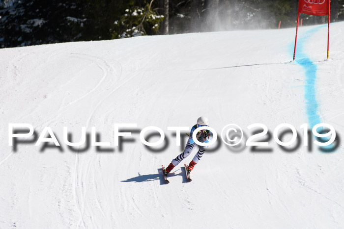 FIS, Int. Dt. Jugendmeisterschaft Abfahrt, Damen + Herren, 20.03.2019