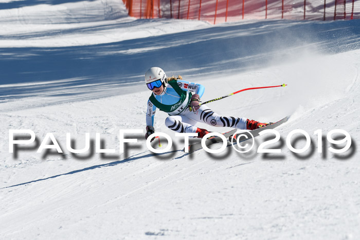 FIS, Int. Dt. Jugendmeisterschaft Abfahrt, Damen + Herren, 20.03.2019