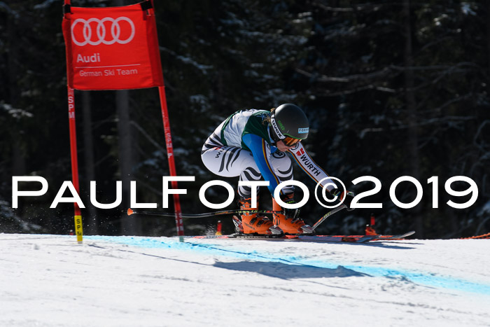 FIS, Int. Dt. Jugendmeisterschaft Abfahrt, Damen + Herren, 20.03.2019