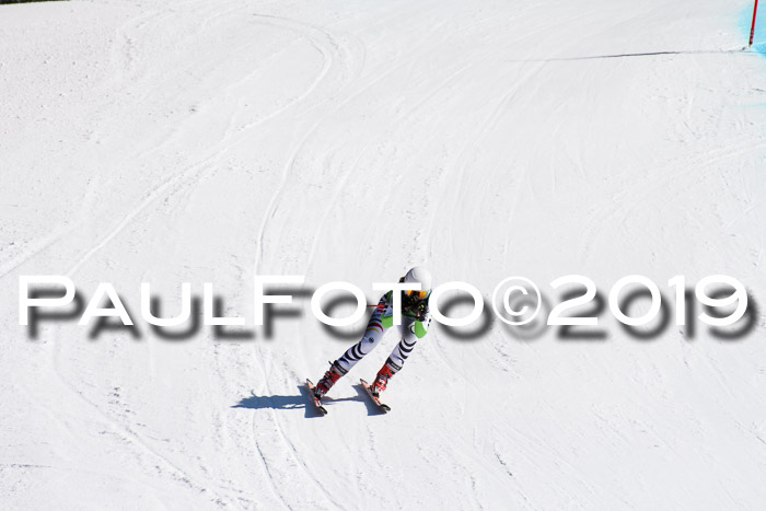 FIS, Int. Dt. Jugendmeisterschaft Abfahrt, Damen + Herren, 20.03.2019