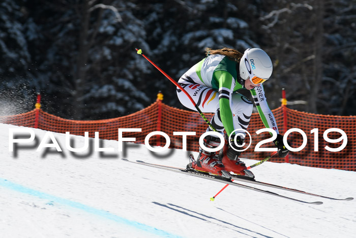 FIS, Int. Dt. Jugendmeisterschaft Abfahrt, Damen + Herren, 20.03.2019