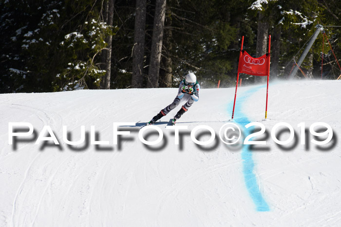 FIS, Int. Dt. Jugendmeisterschaft Abfahrt, Damen + Herren, 20.03.2019