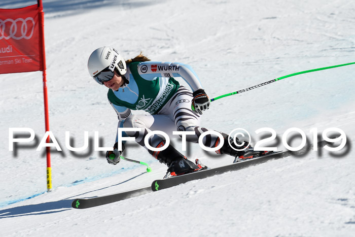 FIS, Int. Dt. Jugendmeisterschaft Abfahrt, Damen + Herren, 20.03.2019