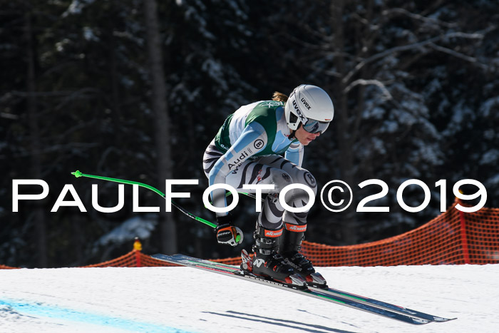 FIS, Int. Dt. Jugendmeisterschaft Abfahrt, Damen + Herren, 20.03.2019