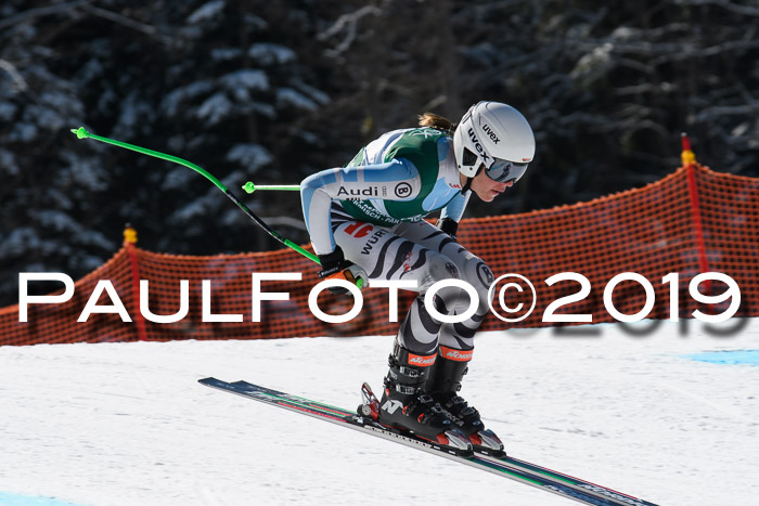 FIS, Int. Dt. Jugendmeisterschaft Abfahrt, Damen + Herren, 20.03.2019