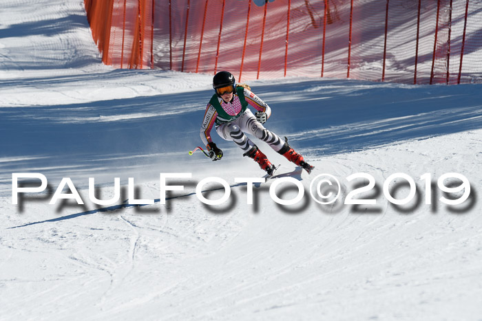 FIS, Int. Dt. Jugendmeisterschaft Abfahrt, Damen + Herren, 20.03.2019