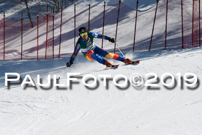 FIS, Int. Dt. Jugendmeisterschaft Abfahrt, Damen + Herren, 20.03.2019