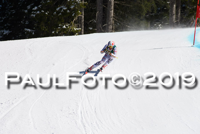 FIS, Int. Dt. Jugendmeisterschaft Abfahrt, Damen + Herren, 20.03.2019