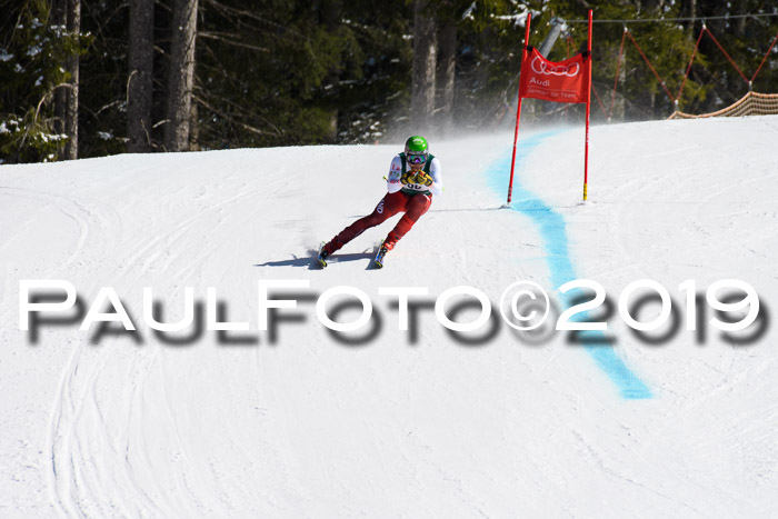 FIS, Int. Dt. Jugendmeisterschaft Abfahrt, Damen + Herren, 20.03.2019