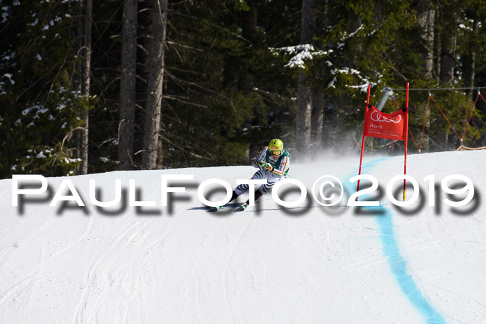 FIS, Int. Dt. Jugendmeisterschaft Abfahrt, Damen + Herren, 20.03.2019