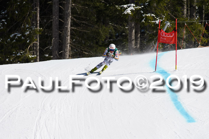 FIS, Int. Dt. Jugendmeisterschaft Abfahrt, Damen + Herren, 20.03.2019