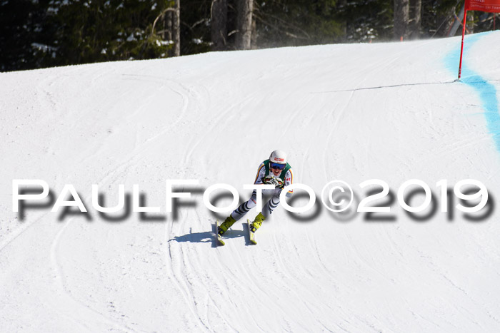 FIS, Int. Dt. Jugendmeisterschaft Abfahrt, Damen + Herren, 20.03.2019