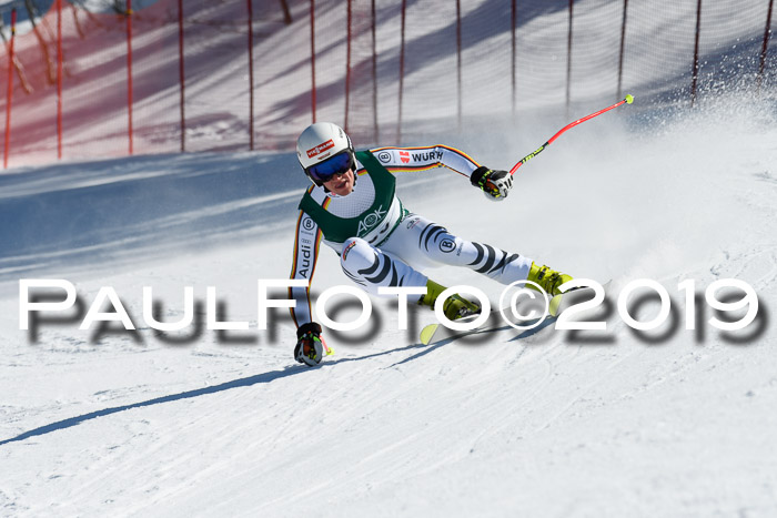 FIS, Int. Dt. Jugendmeisterschaft Abfahrt, Damen + Herren, 20.03.2019