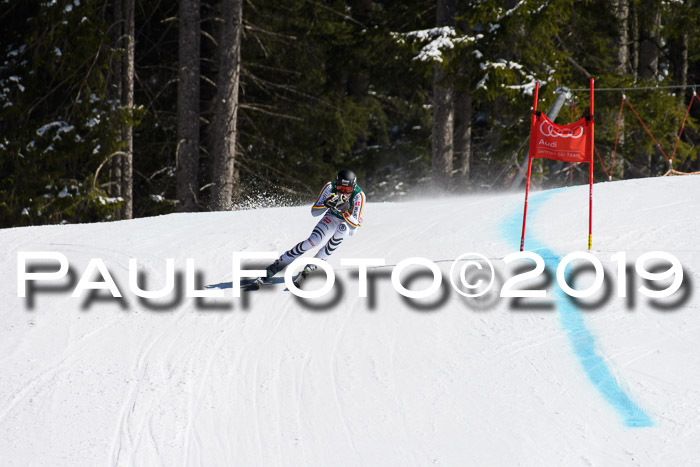 FIS, Int. Dt. Jugendmeisterschaft Abfahrt, Damen + Herren, 20.03.2019
