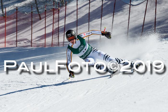 FIS, Int. Dt. Jugendmeisterschaft Abfahrt, Damen + Herren, 20.03.2019