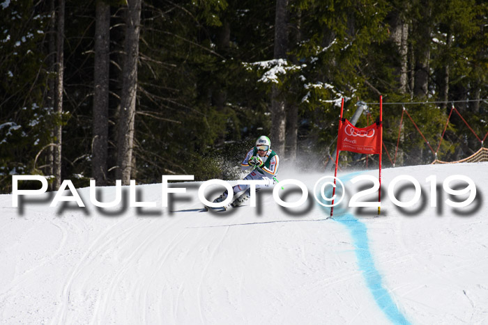 FIS, Int. Dt. Jugendmeisterschaft Abfahrt, Damen + Herren, 20.03.2019