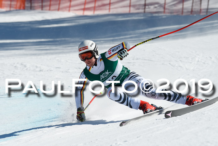 FIS, Int. Dt. Jugendmeisterschaft Abfahrt, Damen + Herren, 20.03.2019