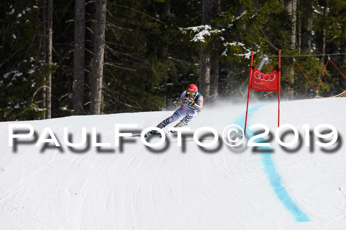 FIS, Int. Dt. Jugendmeisterschaft Abfahrt, Damen + Herren, 20.03.2019