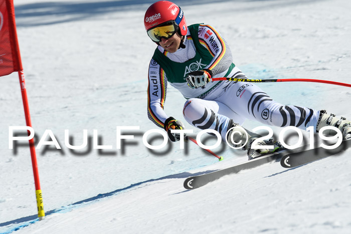 FIS, Int. Dt. Jugendmeisterschaft Abfahrt, Damen + Herren, 20.03.2019